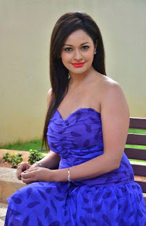 Actress Pooja Kumar in Blue Dress