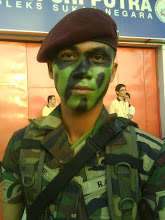 <b>incik SINGA laut<b></b></b>