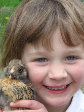 cute chicks