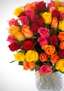 Un bouquet de 60 roses de la couleur de votre choix livré partout en France à 25€ bon plan fleur