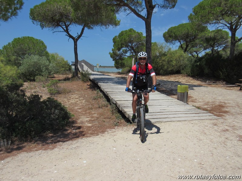 Bici Cádiz - Puerto de Santa María - Puerto Real - San Fernando - Cádiz