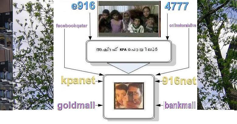 poyiloor 916net
