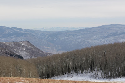 a landscape shot looking out at a hill of aspens and then beyond to smokey mountains in the distance