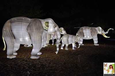 Illuminated Herd of Elephants Bronx Zoo Holiday of Lights 2019