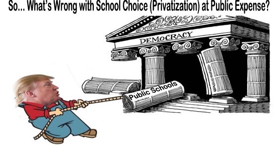 Image result for big education ape school choice