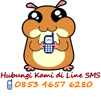 contact sangatta hamster