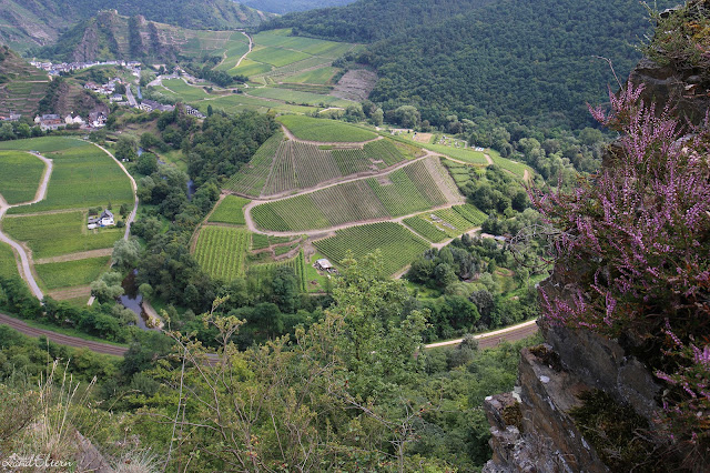 Stadtlandeltern - Wandern - Ahrtal - Ahrsteig 