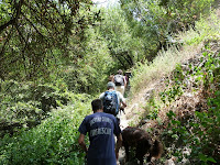 Fish Canyon Trail