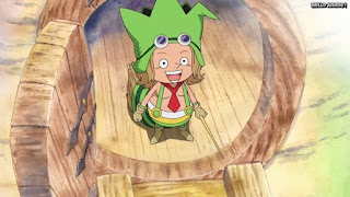 ワンピースアニメ ドレスローザ編 647話 レオ | ONE PIECE Episode 647