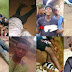 Cult Members Clash In Anambra, Kills 9