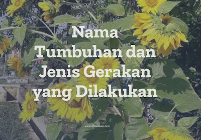 Nama Tumbuhan dan Jenis Gerakan yang Dilakukan