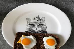 Bolehkah Kucing Makan Roti Tawar. Ini Penjelasannya.