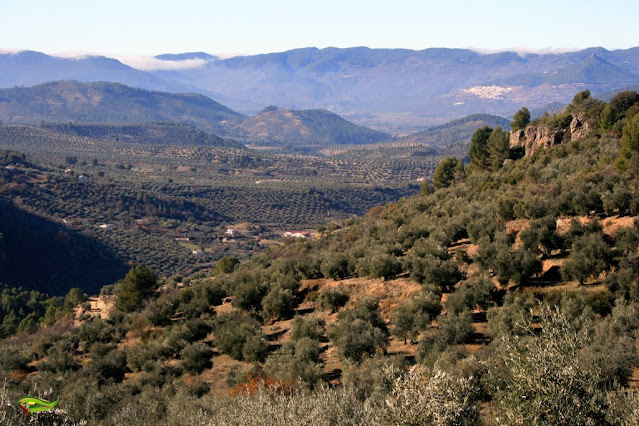 Sendero de La Era del Concejo (PR-A-76)