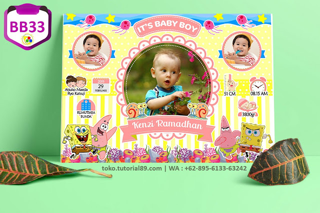 Biodata Bayi Costume Baby Boy Kode BB32 | SpongeBob