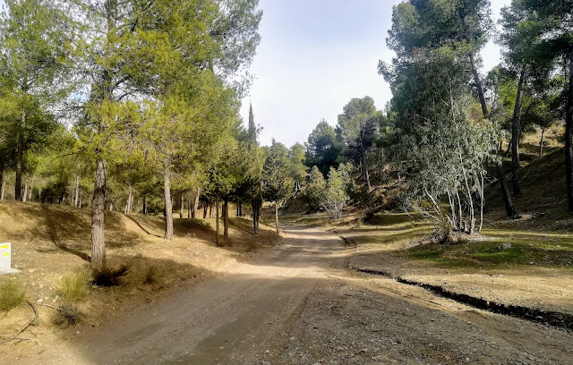 Cruce de caminos, Fin del Mundo