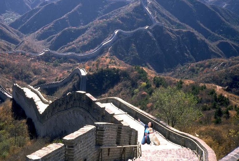 gorgeous aerial view of the great wall of china, I'm kneeling next to Cabana, pointing something out in the air