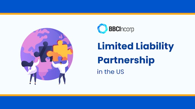 What Every Entrepreneur Needs to Know About Limited Liability Partnerships