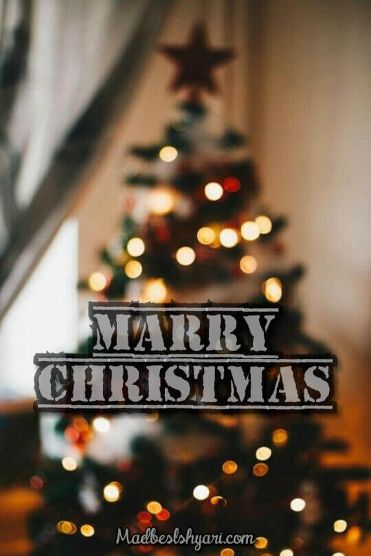 christmas tree images hd