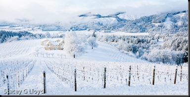 Blog_20110225_1