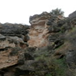 View album