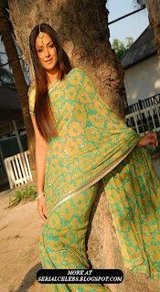 Simran in Green Saree HQ