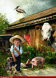 KUMPULAN GAMBAR PETERNAK SAPI KARTUN Picture Farm Cow Cartun