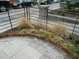 Cabbagetown Toronto Spring Garden Cleanup Front Yard Before by Paul Jung Gardening Services--a Toronto Organic Gardening Company