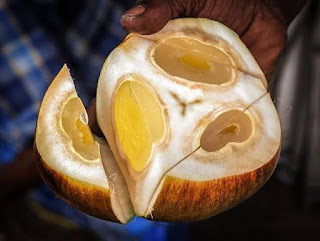 5 Khasiat Menakjubkan Air Kelapa Laut, Adakah Anda Tahu?