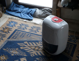 Dehumidifier going to remove the slight flood