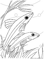 Pencil Fish Aquarium Fish Coloring Pages