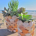 DIY : How to make this beachy, DIY shell planter :