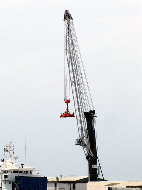 Euro Liebherr LHM 500, Livorno