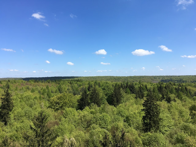 Ausflugsziele in Franken