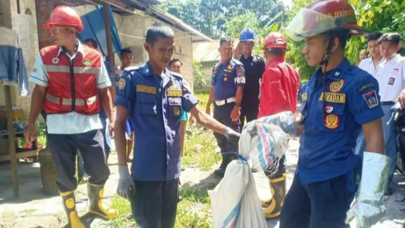 Damkar Padang Tangkap King Cobra