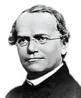 Gregor Mendel 189th Birthday