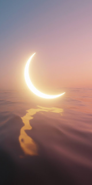 Crescent moon in the lake