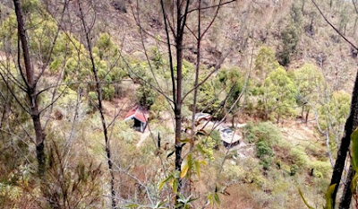 jalur pendakian gunung lawu