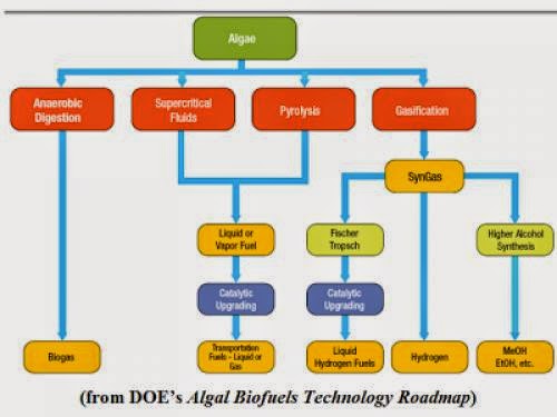 Algae Biofuels Roadmap