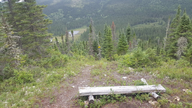 Sentier de retour en provenance du sommet Eudore-Fortin.