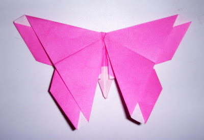 Origami Alice Gray Butterfly 3d