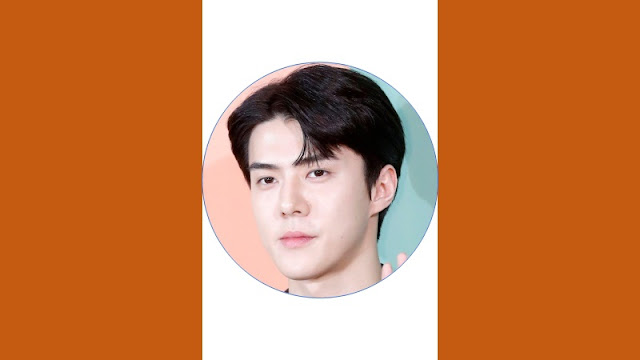 Sehun Exo Profile And Biography Complete