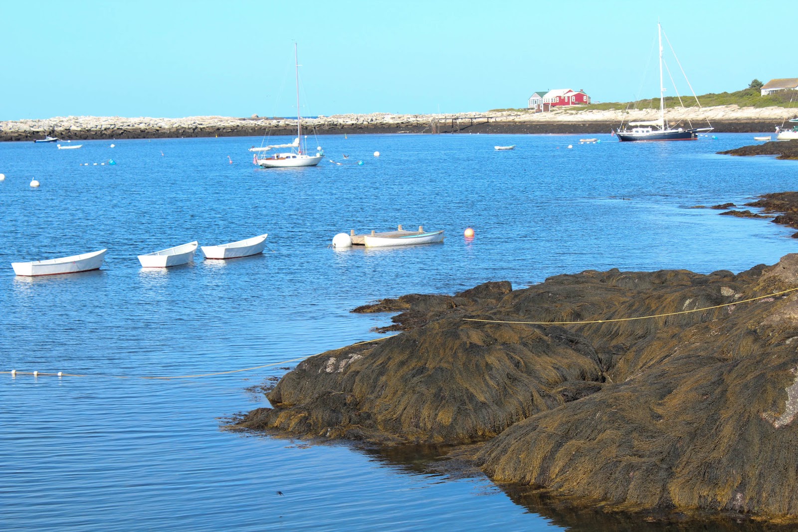 Star Island rowboats.jpg