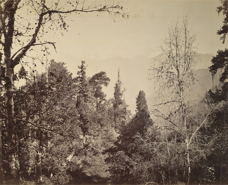 View of the Bunderpunch Peak in Yamunotri - Himalayas 1860's