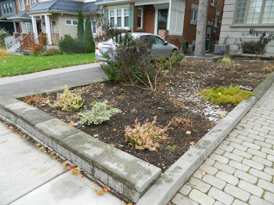 Fall Clean up Toronto Bedford Park Front Garden after by Paul Jung Gardening Services