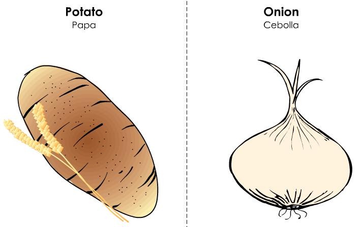 tarjetas ilustradas vocabulario inglés (20)