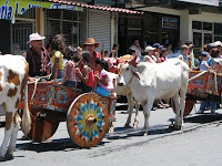 Boyero in Ciudad Colon