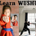 Learn WUSHU Martial Art