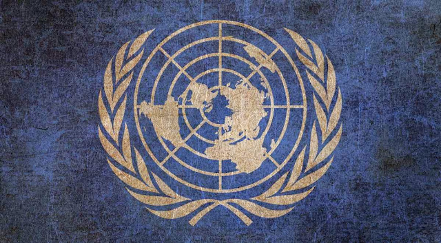 ONU y Derecho Internacional