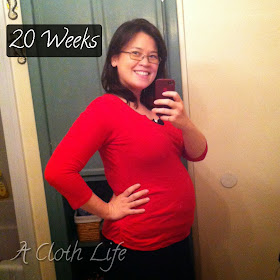 A Cloth Life: belly update 20 weeks