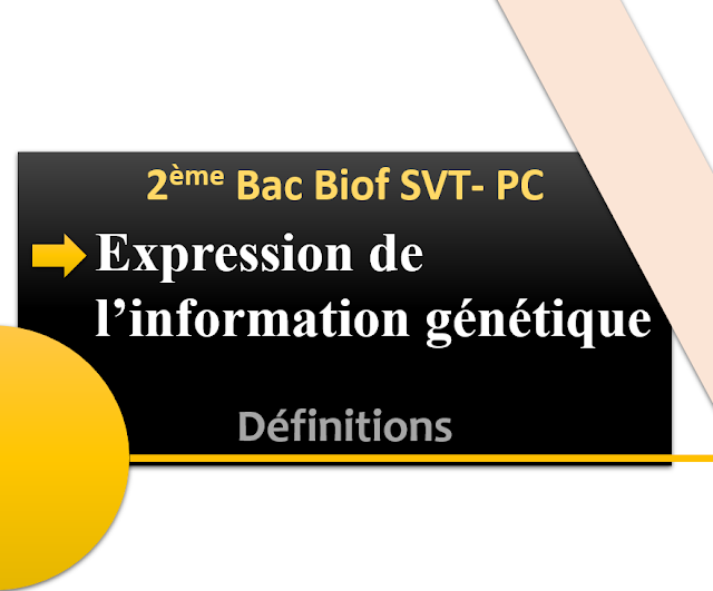 Expression de l’information génétique SVT  BIOF  PC